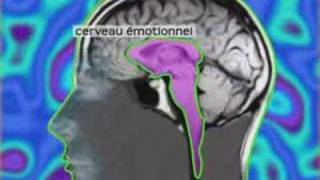 David ServanSchreiber  Le cerveau emotionnel [upl. by Aicatsan]