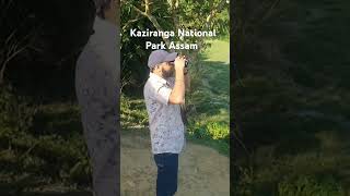 kaziranga National Park Assam [upl. by Safier196]