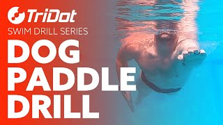 Dog Paddle Drill  TriDot Swim Drill Series [upl. by Recneps]