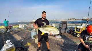 What an incredible Morning Crevalle Jack Run  Galveston Fishing [upl. by Yendor]