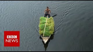 The Floating Farms of Bangladesh  BBC News [upl. by Loyce]