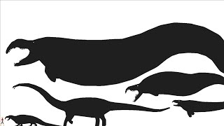 Permian  size comparison [upl. by Ytsirc]