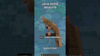 This Minecraft Java Seed Has A Lot Of Structures Near Spawn [upl. by Iknarf629]