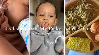 What My Picky Toddler Eats In A Day  Tips for appetite [upl. by Huntington]