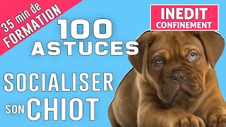 SOCIALISER son CHIOT en 100 ASTUCES [upl. by Rennat]