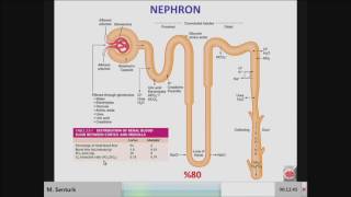 M Senturk  Intraoperative hypotension how far can I permit [upl. by Alur]