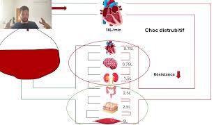 13Difference arterio veineuse en O2 sepsis effet shunt [upl. by Nav141]