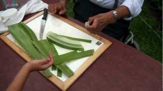 How to make Aloe Vera gel [upl. by Medea230]