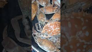 CRABS amp CRABLETS FOR DINNER crabs crablets food jennreyesvlogs [upl. by Iuq]