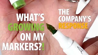 Whats Growing on My Markers The Companys Response [upl. by Alleciram]