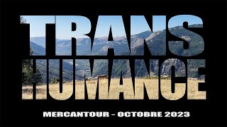 Transhumance Mercantour Octobre 2023 [upl. by Etz]