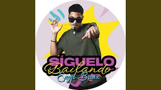 Siguelo Bailando [upl. by Ahsilad]