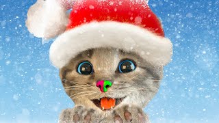 CHRISTMAS LITTLE KITTEN ADVENTURE  KITTEN CARE AND CAT FUN FOR CHILDREN AND TODDLERS [upl. by Eiuol417]