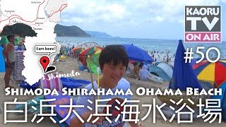 【🏄🏼下田白浜大浜海水浴場】真っ白な広い砂浜で人気のビーチ Shimoda Shirahama Ohama Beach [upl. by Eirrehc]