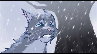 Bluestar lost Mosskit  Warrior Cats [upl. by Namron]