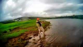 Fly fishing Iceland Salmon  Húseyjarkvísl [upl. by Samuela]