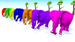 Learn Colors with Animals for Children  Colour Elephant Rhymes  Learning Video for Kids Toddlers [upl. by Auhso927]