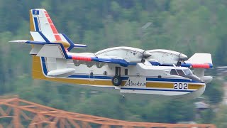 Canadair CL215T Water Bomber Action [upl. by December185]