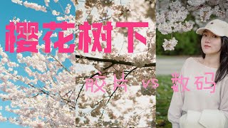 Cherry Blossom Noctilux Rigid and Film  Lets talk [upl. by Arrekahs]