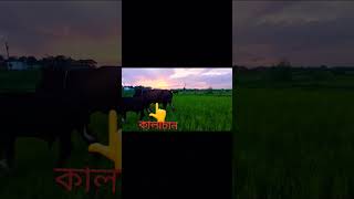 ore kalachan tmr lagi mon kre anchanyoutubeshort3859 subscribe [upl. by Noivaz]