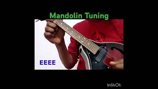 MANDOLIN TUNING amp OPEN STRING EXERCISE mandolintuning mandolin mandolininstrument [upl. by Dorahs419]