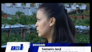 Drama Semanis Janji di TV1  promo 2010 [upl. by Einnad]