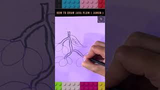 How to draw Java Plum  Jamun  step by step  drawing kidsarteducation arteducation art viral [upl. by Solim]