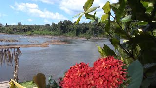 OLLYS TOURS Ontdek het mooie Binnenland van Suriname [upl. by Pia516]