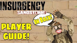 Expert Player Wisdom  INSURGENCY SANDSTORM GUIDE [upl. by Auqinahs942]