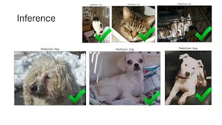 Enhancing Image Classification Performance with Transfer Learning in PyTorch [upl. by Anatole]