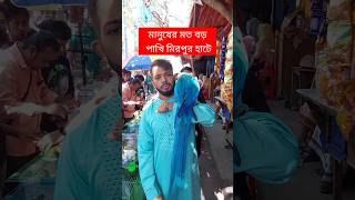 মানুষের মতো বড় পাখি মিরপুর হাটে  পাখি  Pakhi  মিরপুর ১ পাখির হাট  টিয়া পাখি  Tiya Pakhi short [upl. by Hy]