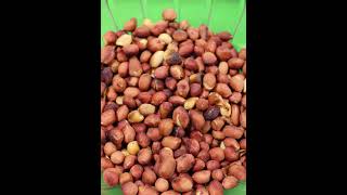 Roasted Peanuts shorts youtubeshorts [upl. by Daniell]