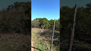 Limestone Ridge Trail  Cleburne State Park Cleburne Texashiking texashiking texastrails [upl. by Aitram]