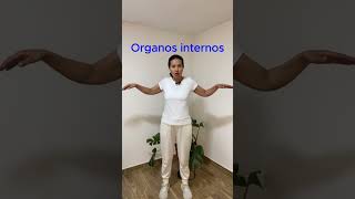 Organos internos adrianagutierreznieto meditacionenmovimiento organossanos chikung taichi [upl. by Mcgregor]