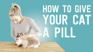 How Pill Your Cat [upl. by Negyam]