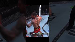 How Ilia Knockedout Max Holloway  shorts mma ufc [upl. by Neufer356]