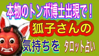 【タロット占い】本物のトンボ博士出現で‼️側室さんは屁でもないと思ってる⁉️ [upl. by Lenahc209]