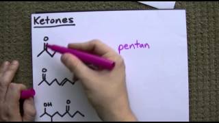 Aldehydes and Ketones Naming  Properties [upl. by Eilyab]