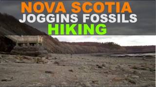 Joggins Fossil Cliffs  Hiking in Nova Scotia [upl. by Ikceb166]