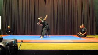 Démonstration de Ninjutsu Académie SogoBudokan Bujinkan Montréal [upl. by Springer585]