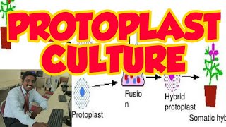 PROTOPLAST CULTURE PART 1  TAMIL EXPLANATION POMATO  PROTOPLASMIC FUSION [upl. by Adallard902]