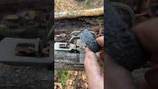 DIY Trap pan underall trapping survival snaring outdoors bushcraft [upl. by Yadrahc358]