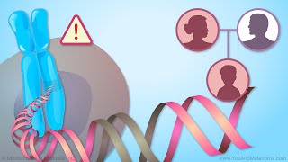 Screening and Genetic Testing in Melanoma [upl. by Aidyn]