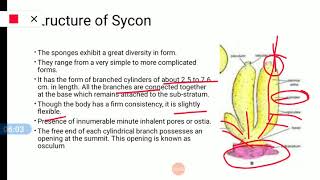 SyconHabit and Habitat Structure Canal system [upl. by Rozalin20]