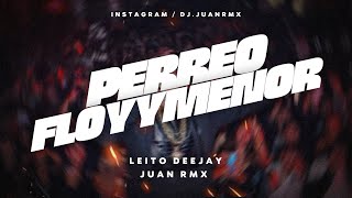 💸 PERREO FLOYYMENOR 💸  JUAN RMX ✘ LEITO DEEJAY [upl. by Lot349]