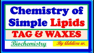 Simple lipids Triacylglyceride amp Waxes  biochemistry ethiopian chemistry [upl. by Aillij564]