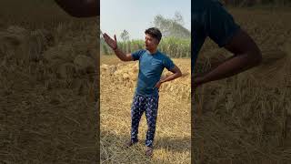 Khet main Kisan shorts trendingshorts youtubeshorts trendingshorts [upl. by Follmer]