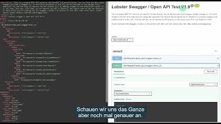 Lobsterdata SwaggerOpenAPI [upl. by Busch8]