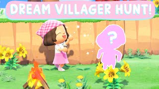 Another lucky villager hunt  Animal Crossing New Horizons [upl. by Kcirddot]