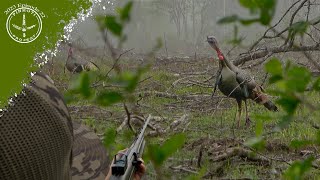 YELPING BIG GOBBLERS through a CLEAR CUT  GEORGIA TURKEY HUNTING  GREAT OVER THE SHOULDER SHOT [upl. by Lennahs506]